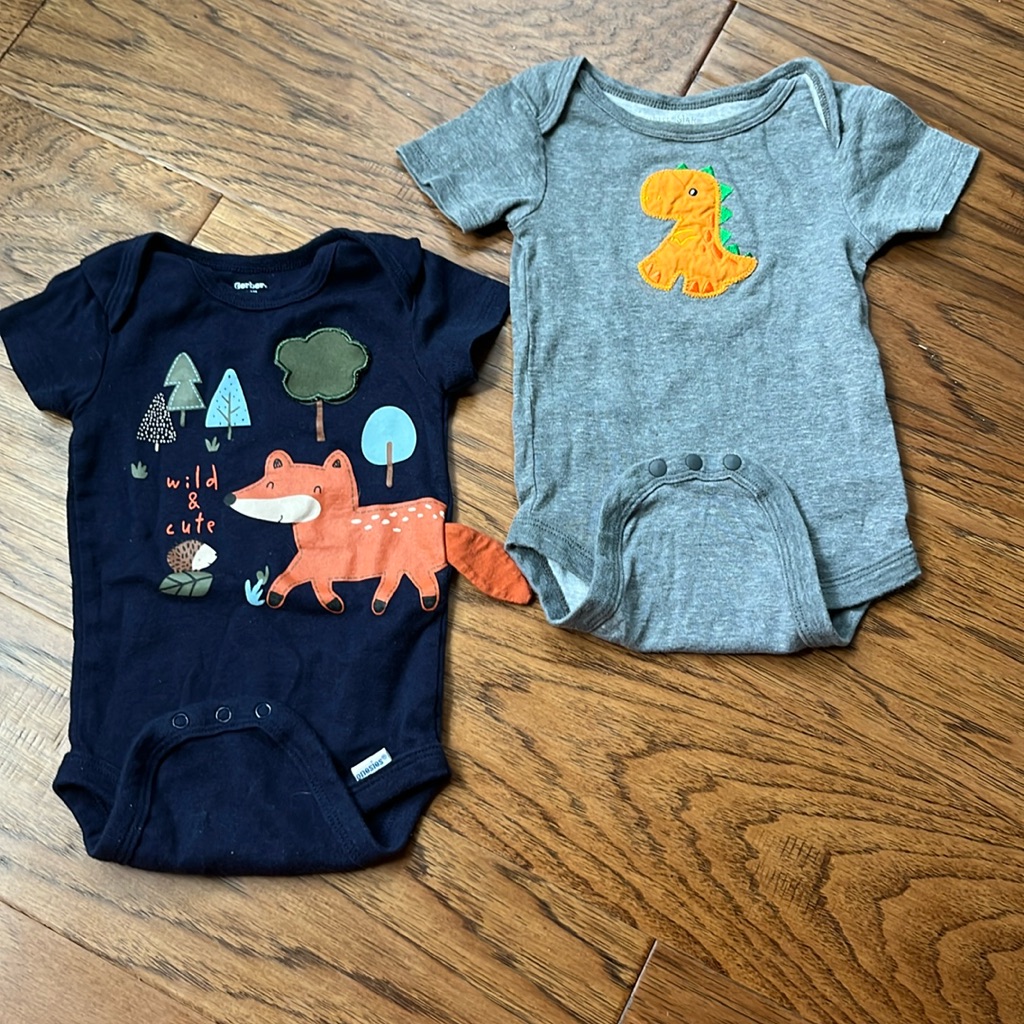 6-9 Month Onsie Bundle